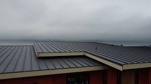 Professional Roofing Services in Williamsburg, KY